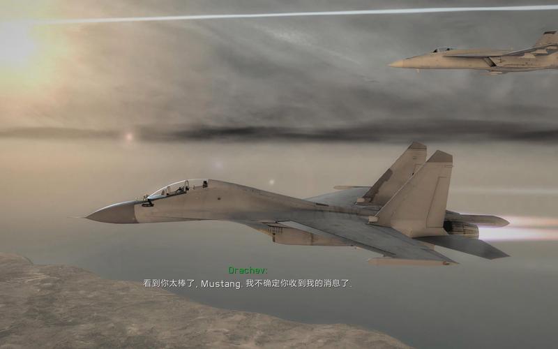 关于“鹰击长空2破解补丁”的解答-第2张图片 关于“鹰击长空2破解补丁”的解答-第2张图片