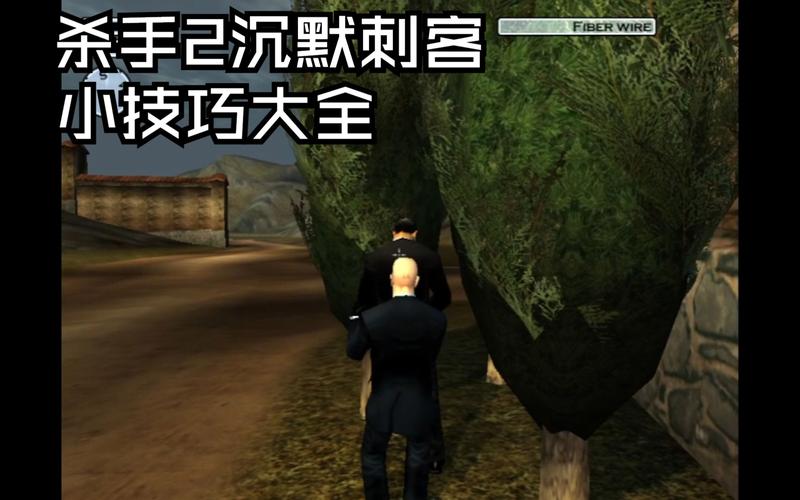 终极刺客2秘籍，终极刺客2秘籍是什么-第2张图片