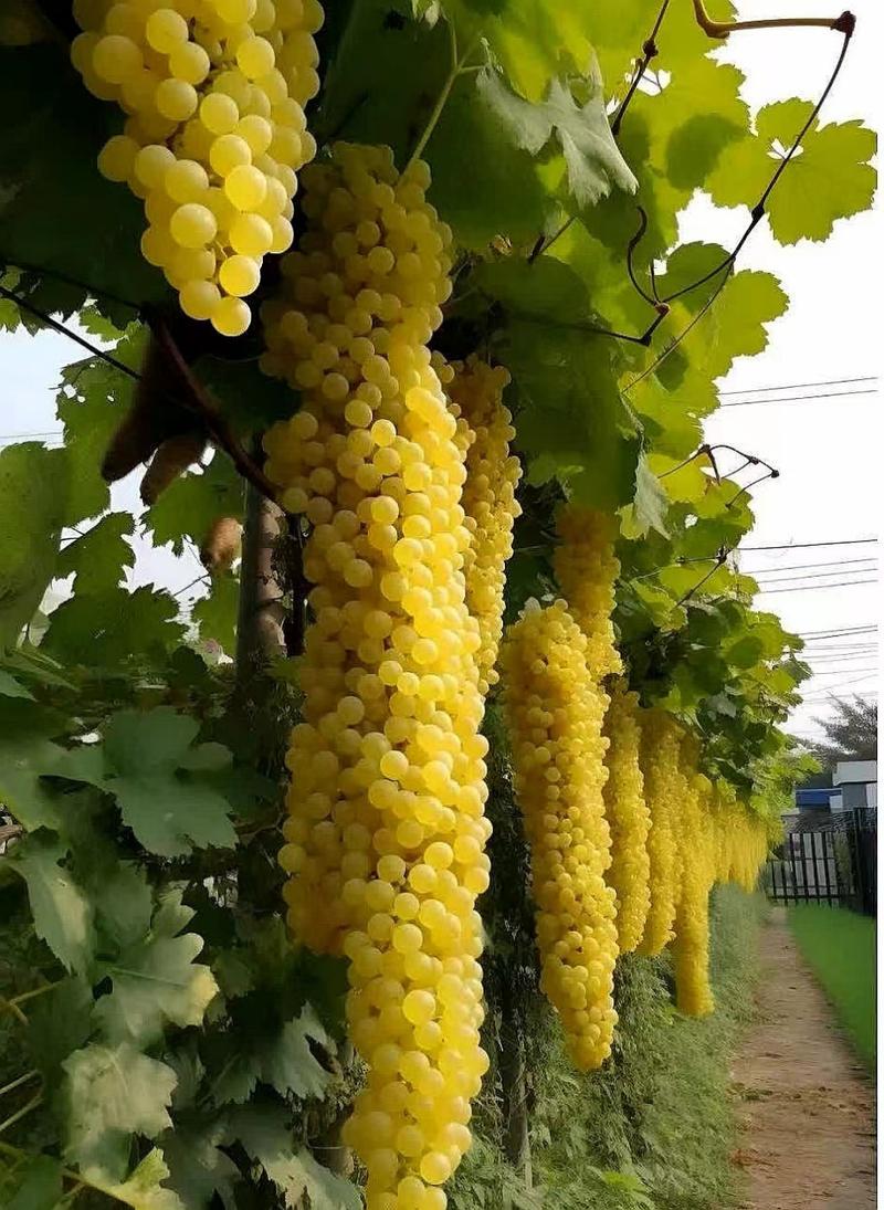 【疯狂猜图34关答案，疯狂猜图游戏及答案大全】-第3张图片