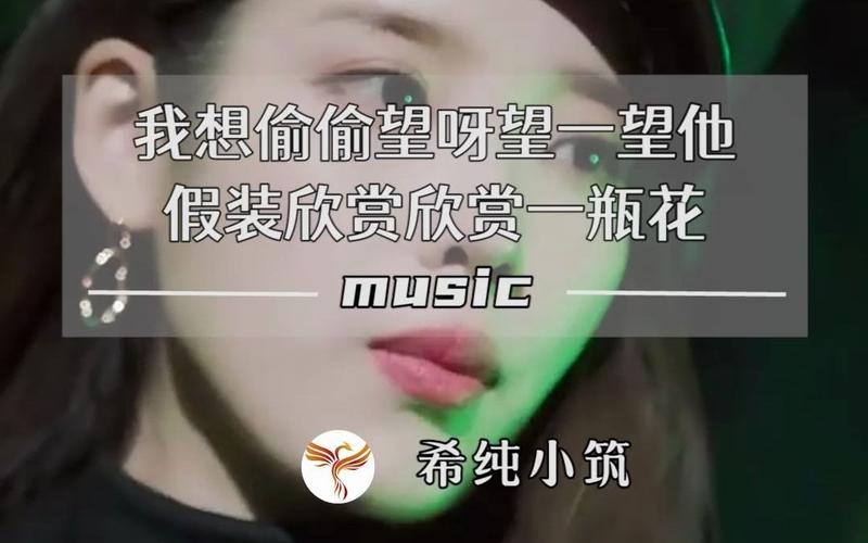 关于“我想偷偷望一望他是哪首歌”的解答-第2张图片 关于“我想偷偷望一望他是哪首歌”的解答-第2张图片