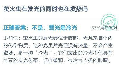 莹火虫在发光的时候同时也发热吗-莹火虫为什么会发光打一生肖