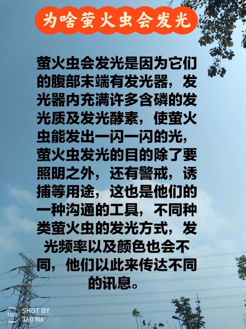 莹火虫在发光的时候同时也发热吗-莹火虫为什么会发光打一生肖-第4张图片 莹火虫在发光的时候同时也发热吗-莹火虫为什么会发光打一生肖-第4张图片