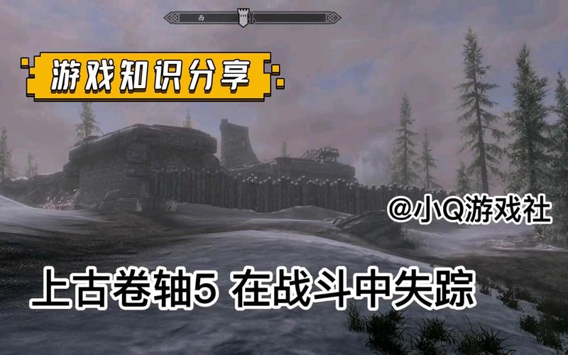 【在战斗中失踪,在战斗中失踪任务 巫师3】-第5张图片 【在战斗中失踪,在战斗中失踪任务 巫师3】-第5张图片