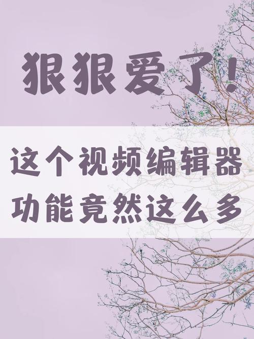 清爽视频编辑器/清爽视频编辑器好用吗-第3张图片 清爽视频编辑器/清爽视频编辑器好用吗-第3张图片