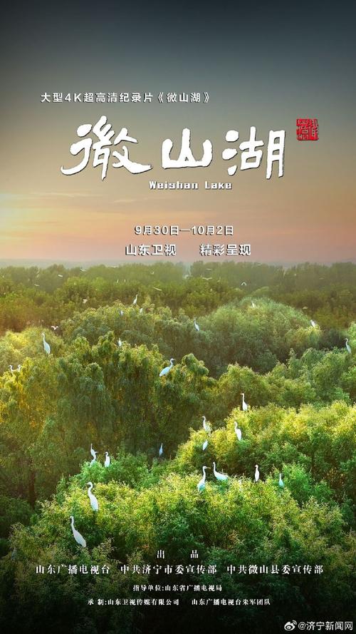关于月夜影视免费的信息-第8张图片 关于月夜影视免费的信息-第8张图片