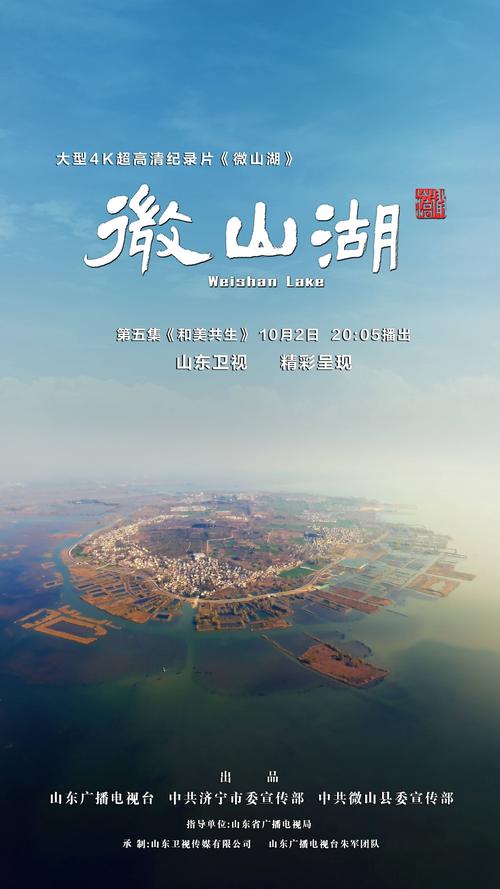 关于月夜影视免费的信息-第10张图片 关于月夜影视免费的信息-第10张图片