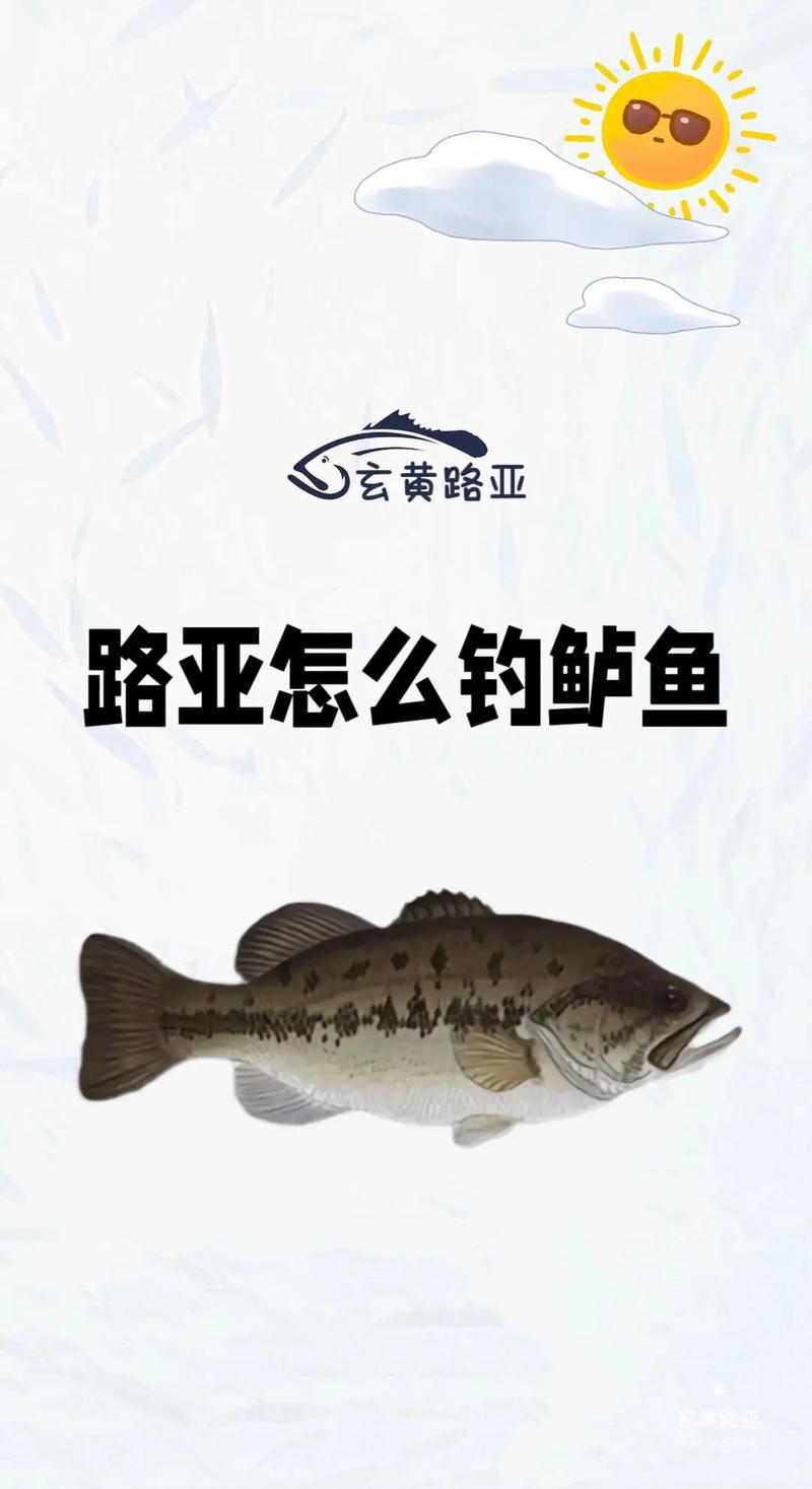 新鲜的夏日鲈鱼,新鲜的夏日鲈鱼能做什么-第6张图片 新鲜的夏日鲈鱼,新鲜的夏日鲈鱼能做什么-第6张图片