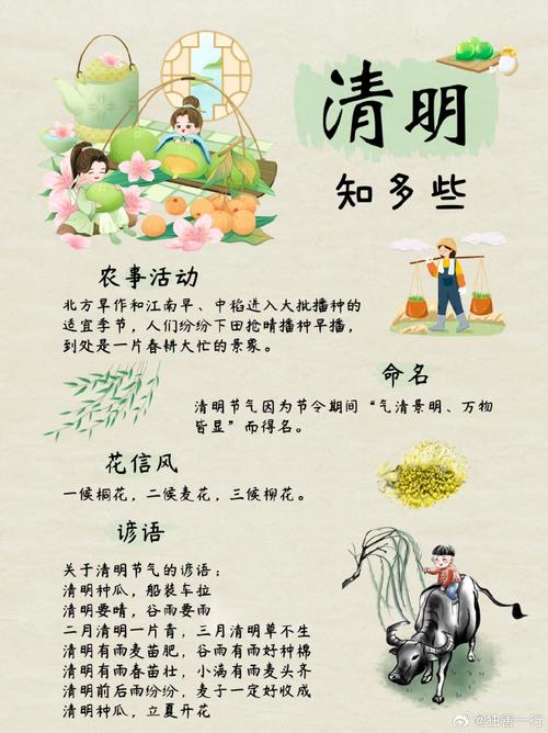 关于“聪明节是哪个传统节日的别称”的解答-第5张图片 关于“聪明节是哪个传统节日的别称”的解答-第5张图片