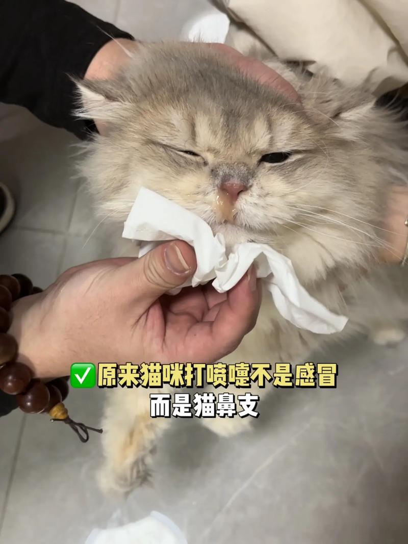 【打喷嚏时努力憋回去这样做有可能会,打喷嚏憋回去有可能损伤什么】-第4张图片 【打喷嚏时努力憋回去这样做有可能会,打喷嚏憋回去有可能损伤什么】-第4张图片