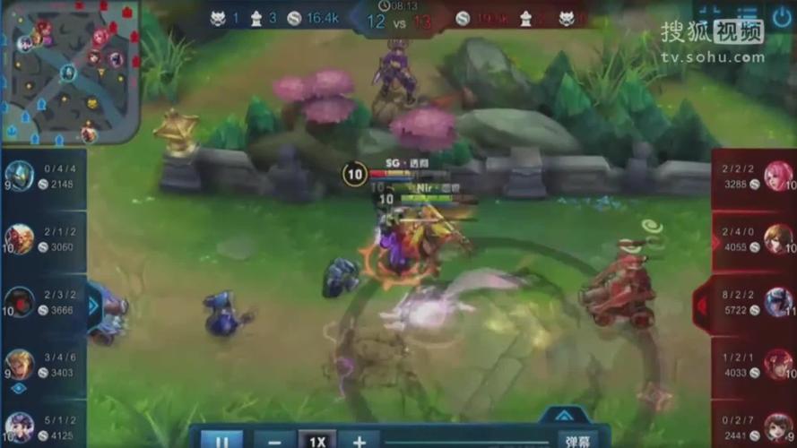 nirvana战队/nirvana战队csgo-第1张图片