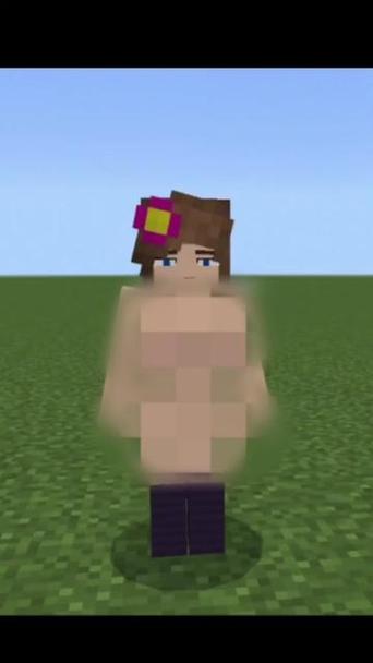 我的世界视频大全,我的世界视频系列-第4张图片 我的世界视频大全,我的世界视频系列-第4张图片