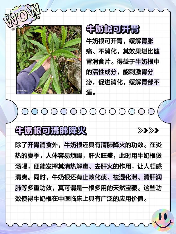 奶牛关有什么用/奶牛关可以刷什么-第4张图片 奶牛关有什么用/奶牛关可以刷什么-第4张图片