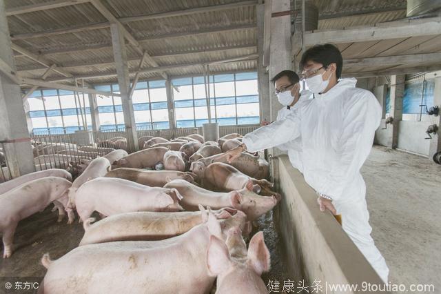 合欢视频污app安装官方/合欢视频app安装官方500软件-第1张图片 合欢视频污app安装官方/合欢视频app安装官方500软件-第1张图片