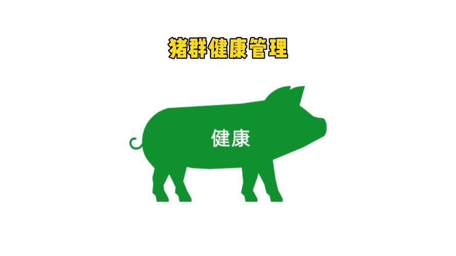 合欢视频污app安装官方/合欢视频app安装官方500软件-第3张图片 合欢视频污app安装官方/合欢视频app安装官方500软件-第3张图片