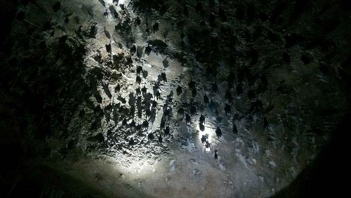 wow不朽之责,魔兽世界不朽者称号-第4张图片 wow不朽之责,魔兽世界不朽者称号-第4张图片