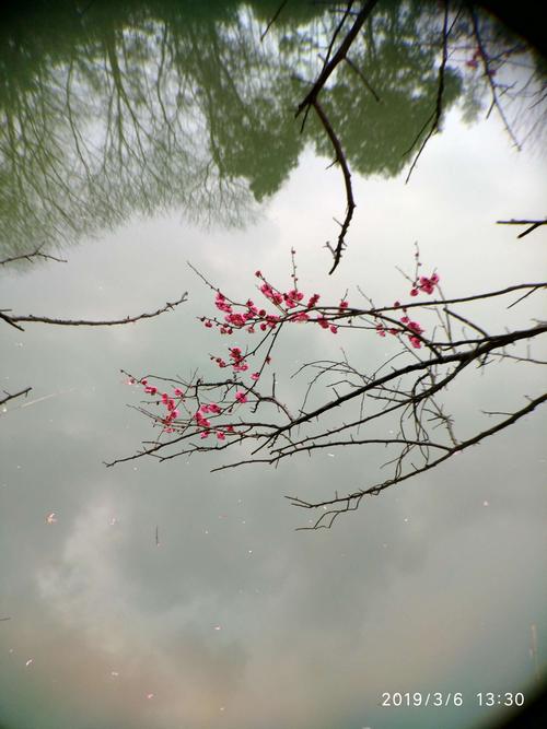 暗香特技打造点属性/暗香打造装备选取什么属性-第5张图片