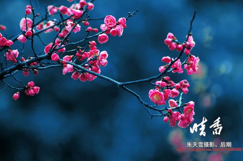 暗香特技打造点属性/暗香打造装备选取什么属性-第8张图片