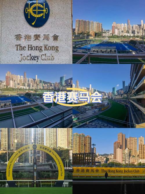 【赛马骑手体重限制重量,赛马比赛中,骑手和马哪个重要】-第8张图片 【赛马骑手体重限制重量,赛马比赛中,骑手和马哪个重要】-第8张图片
