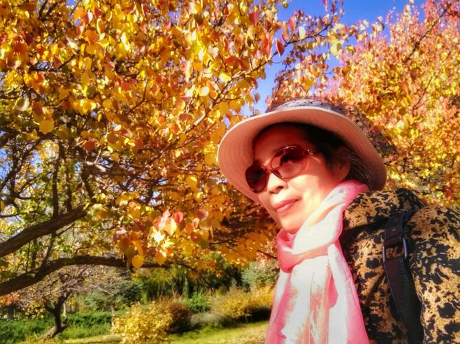 暗黑黎明满v/暗黑黎明新手攻略-第4张图片