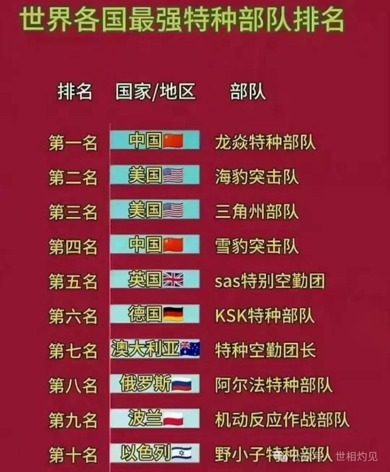 武警特警装备多少斤-武装特警用什么枪-第4张图片 武警特警装备多少斤-武装特警用什么枪-第4张图片