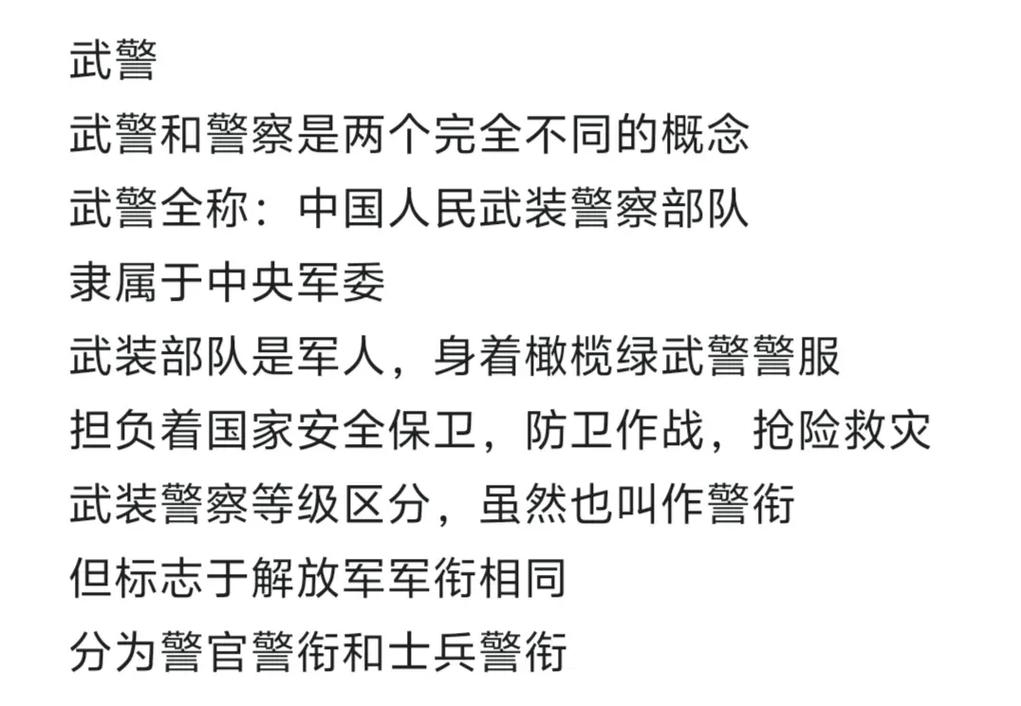 武警特警装备多少斤-武装特警用什么枪-第3张图片 武警特警装备多少斤-武装特警用什么枪-第3张图片