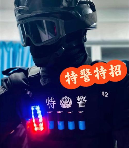 武警特警装备多少斤-武装特警用什么枪-第7张图片 武警特警装备多少斤-武装特警用什么枪-第7张图片