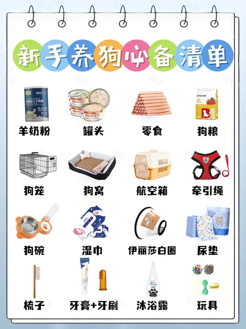 dnf卡片宠物装备怎么用-dnf卡片宠物装备怎么用的