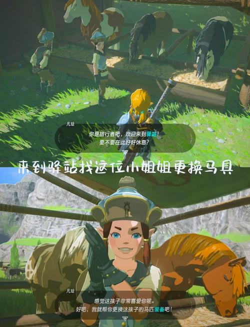 关于“塞尔达传说荒野之息ex装备”的解答-第5张图片 关于“塞尔达传说荒野之息ex装备”的解答-第5张图片