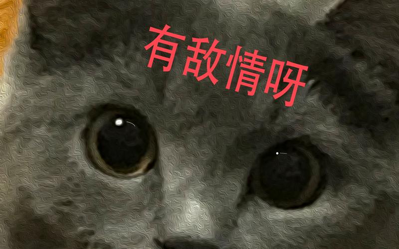 【绝境北方新手攻略,绝境北方有多少关卡】-第2张图片 【绝境北方新手攻略,绝境北方有多少关卡】-第2张图片