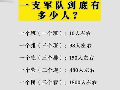 解放军摩步营编制,中国陆军摩步师-第2张图片 解放军摩步营编制,中国陆军摩步师-第2张图片