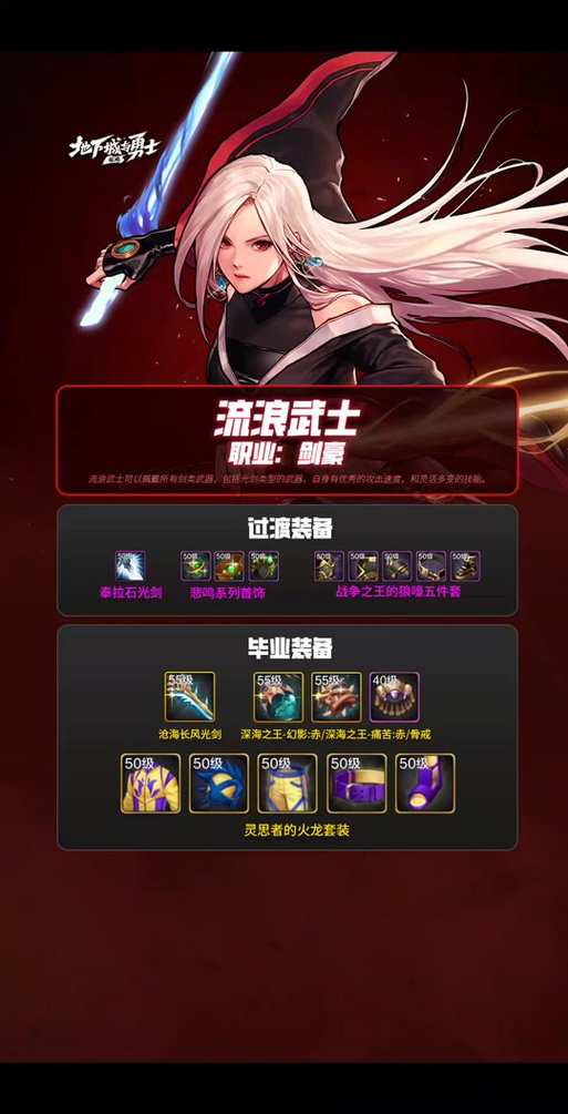 关于“流浪武士用什么装备合适”的解答-第4张图片