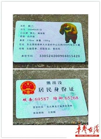 10.23卡特装备，卡特新装备出装-第2张图片