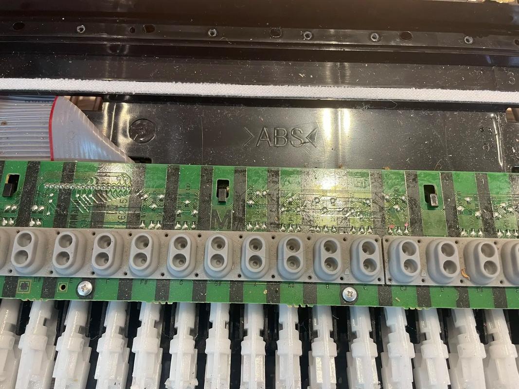 放琴谱的叫什么-放琴谱的叫什么乐器-第4张图片