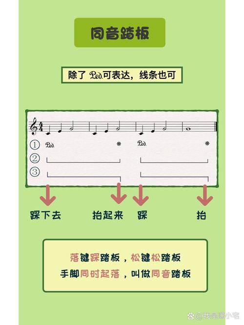 放琴谱的叫什么-放琴谱的叫什么乐器-第9张图片