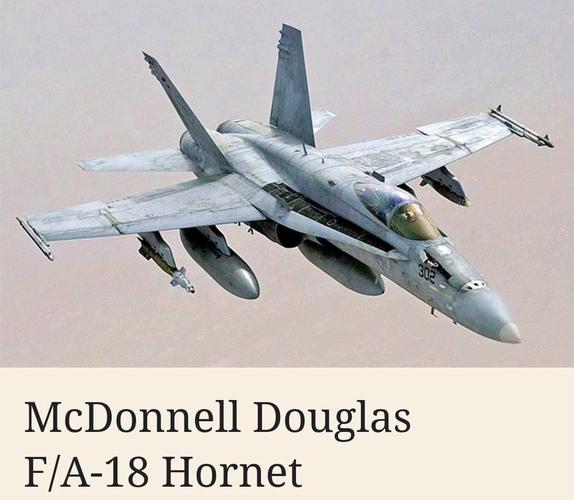 冈比亚战斗力/冈比亚单挑全世界-第7张图片