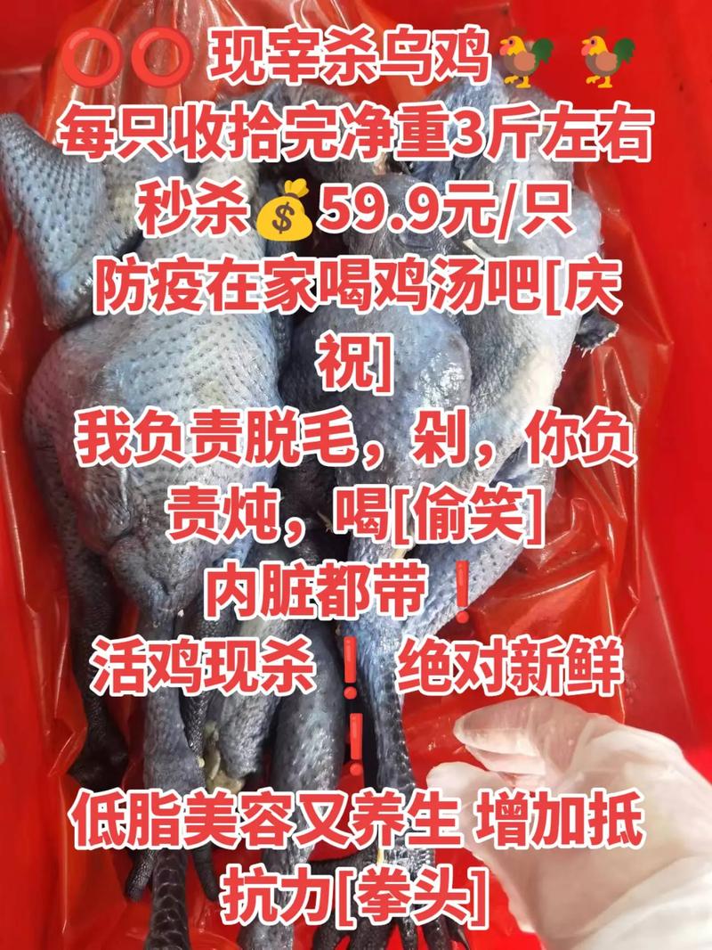 乌鸡用什么装备好用，乌鸡防具-第8张图片