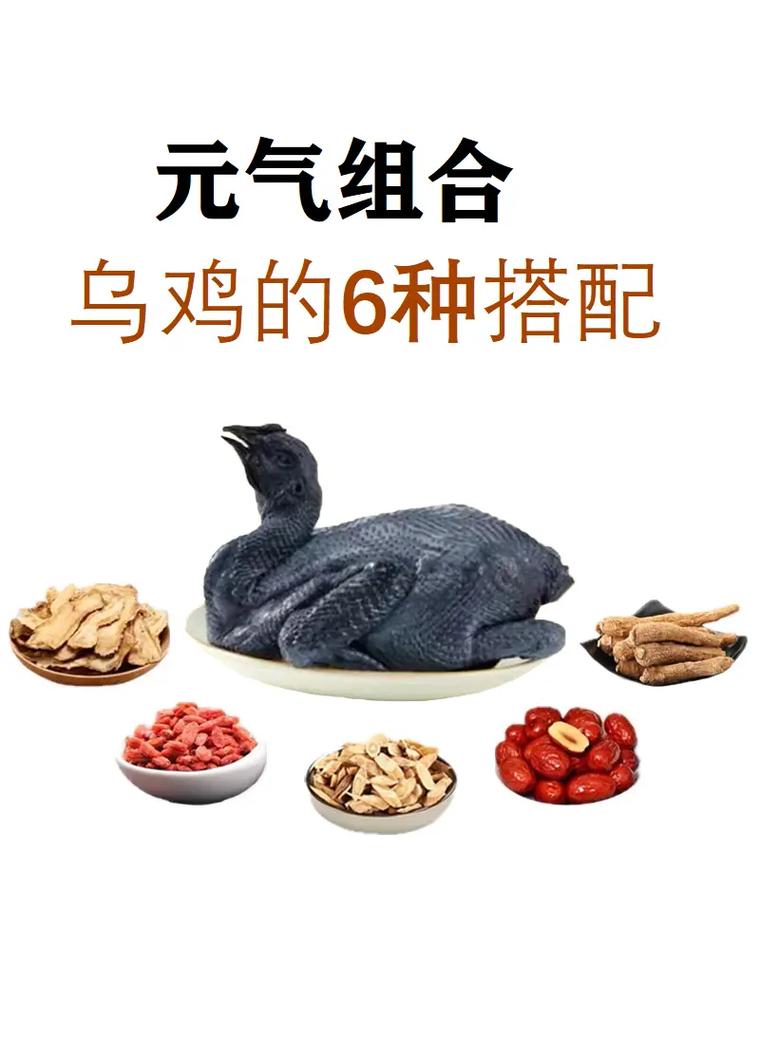 乌鸡用什么装备好用，乌鸡防具-第9张图片