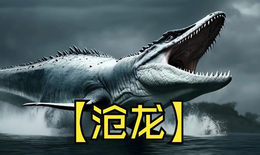 沧波龙装备搭配-苍波龙怎么玩-第7张图片 沧波龙装备搭配-苍波龙怎么玩-第7张图片