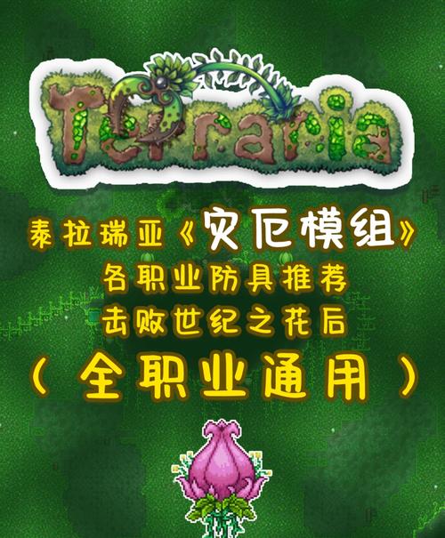 关于“泰拉瑞亚战士装备毕业”的解答-第5张图片