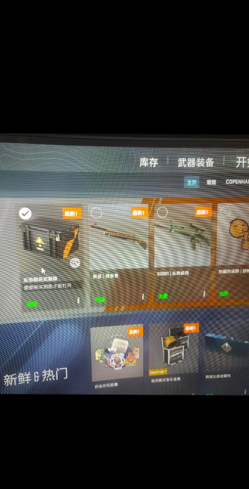 神魔收藏品多少钱/csgo神魔收藏品是哪个箱子-第4张图片