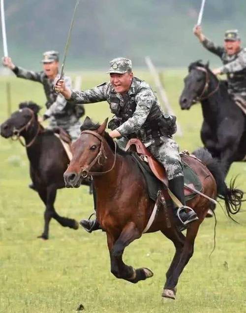 骑兵最强兵种-骑兵最厉害的武器-第1张图片 骑兵最强兵种-骑兵最厉害的武器-第1张图片