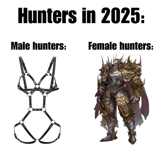 关于“怪猎ol前期装备选取”的解答-第6张图片 关于“怪猎ol前期装备选取”的解答-第6张图片