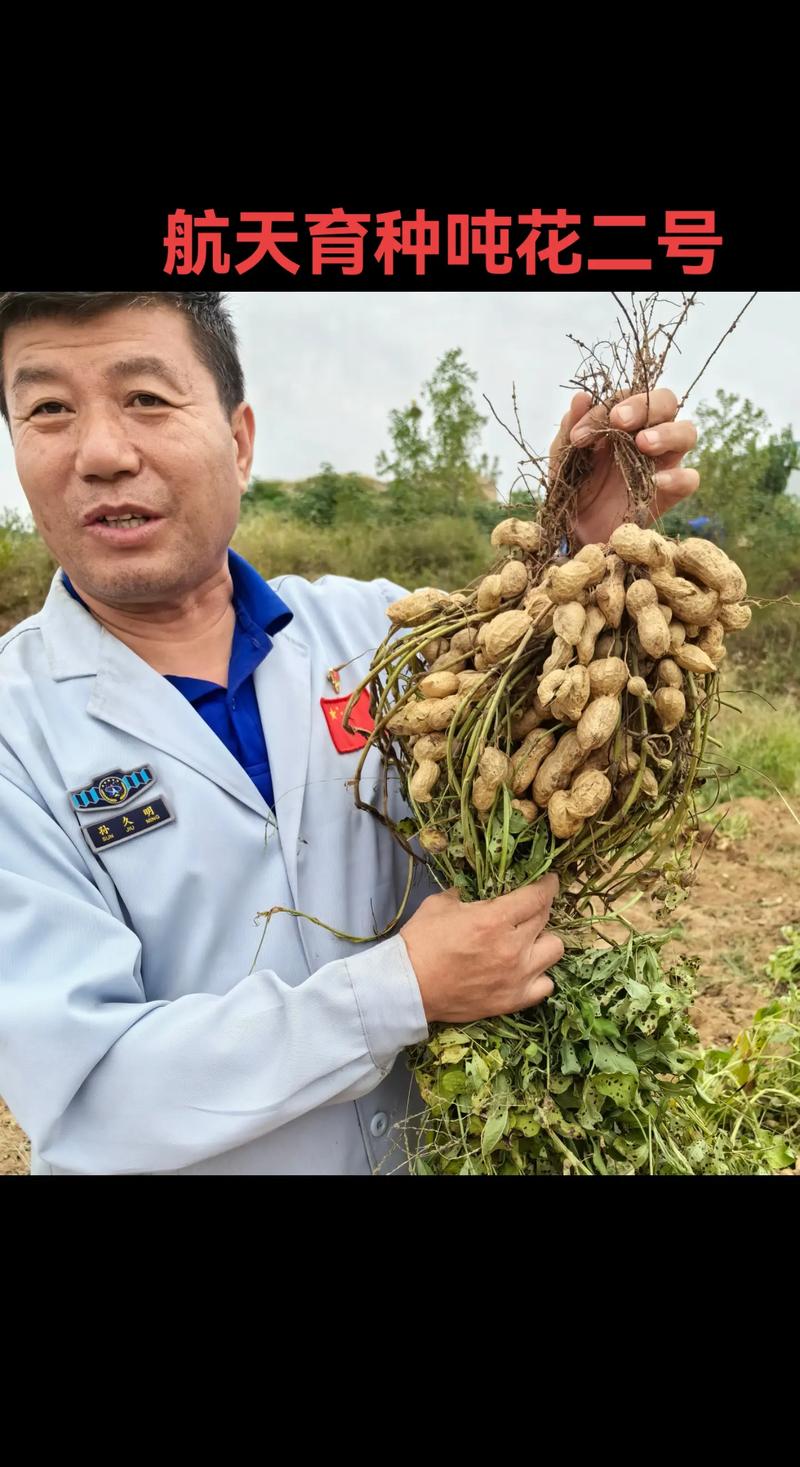 太空新品种有哪些/最新的太空-第1张图片