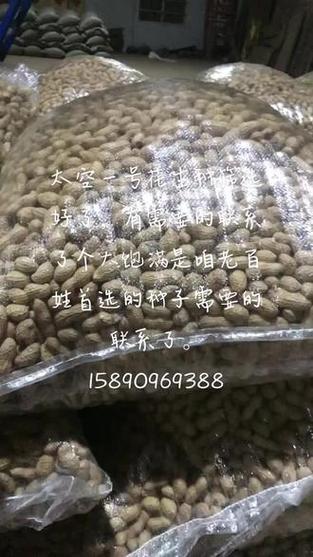 太空新品种有哪些/最新的太空-第2张图片