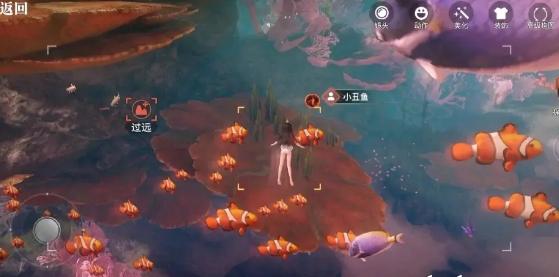 关于“深海遗迹里面有什么”的解答-第6张图片