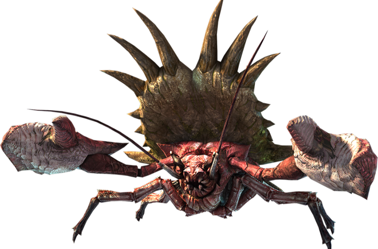 【大名盾蟹的壳怎么破,怪物猎人大名盾蟹弱点属性】-第5张图片 【大名盾蟹的壳怎么破,怪物猎人大名盾蟹弱点属性】-第5张图片