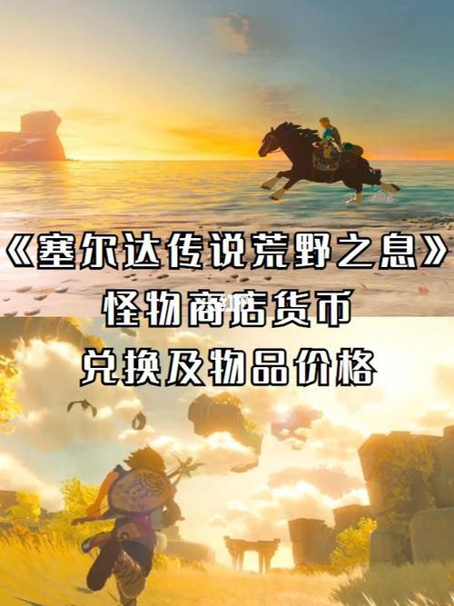 塞尔达装备都在哪里买-塞尔达传说装备在哪里买-第5张图片 塞尔达装备都在哪里买-塞尔达传说装备在哪里买-第5张图片