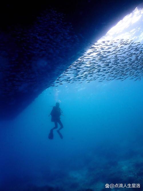 人体水下能承受多少米-人到水里可以承受多少米的压力-第1张图片 人体水下能承受多少米-人到水里可以承受多少米的压力-第1张图片