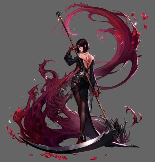 dnf圣职者加力量还是智力-圣职者加智力还是精神-第3张图片