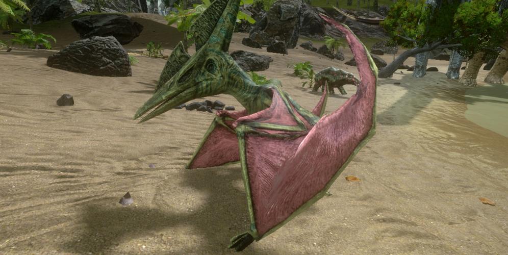 方舟生存进化极品装备属性，方舟生存进化装备品质有区别么-第4张图片